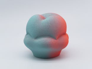 Gradation Form(M/NP)#02